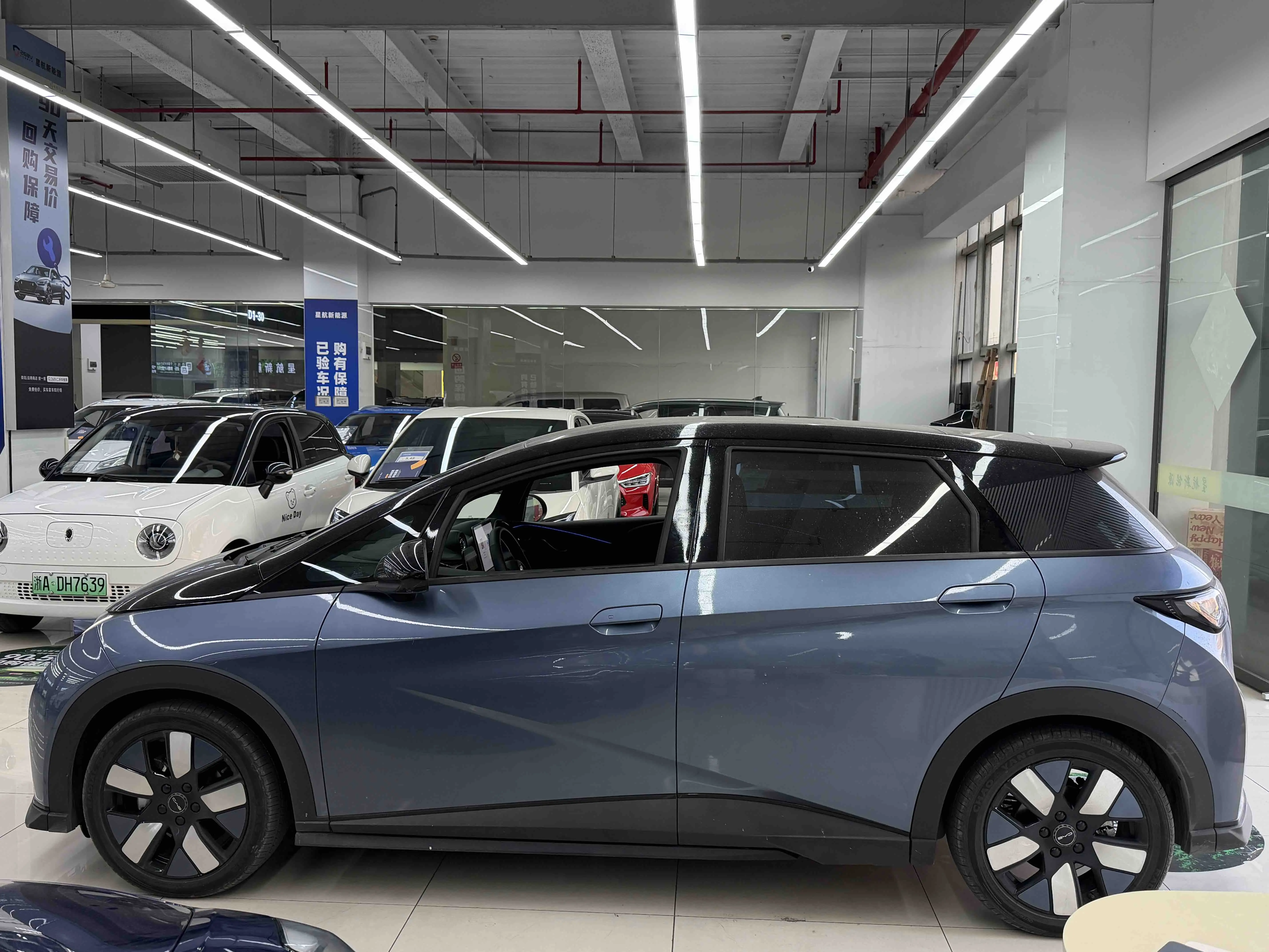 BYD Dolphin