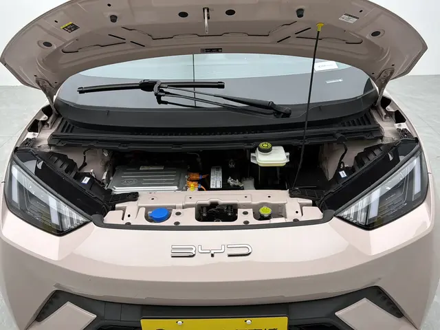BYD seagull