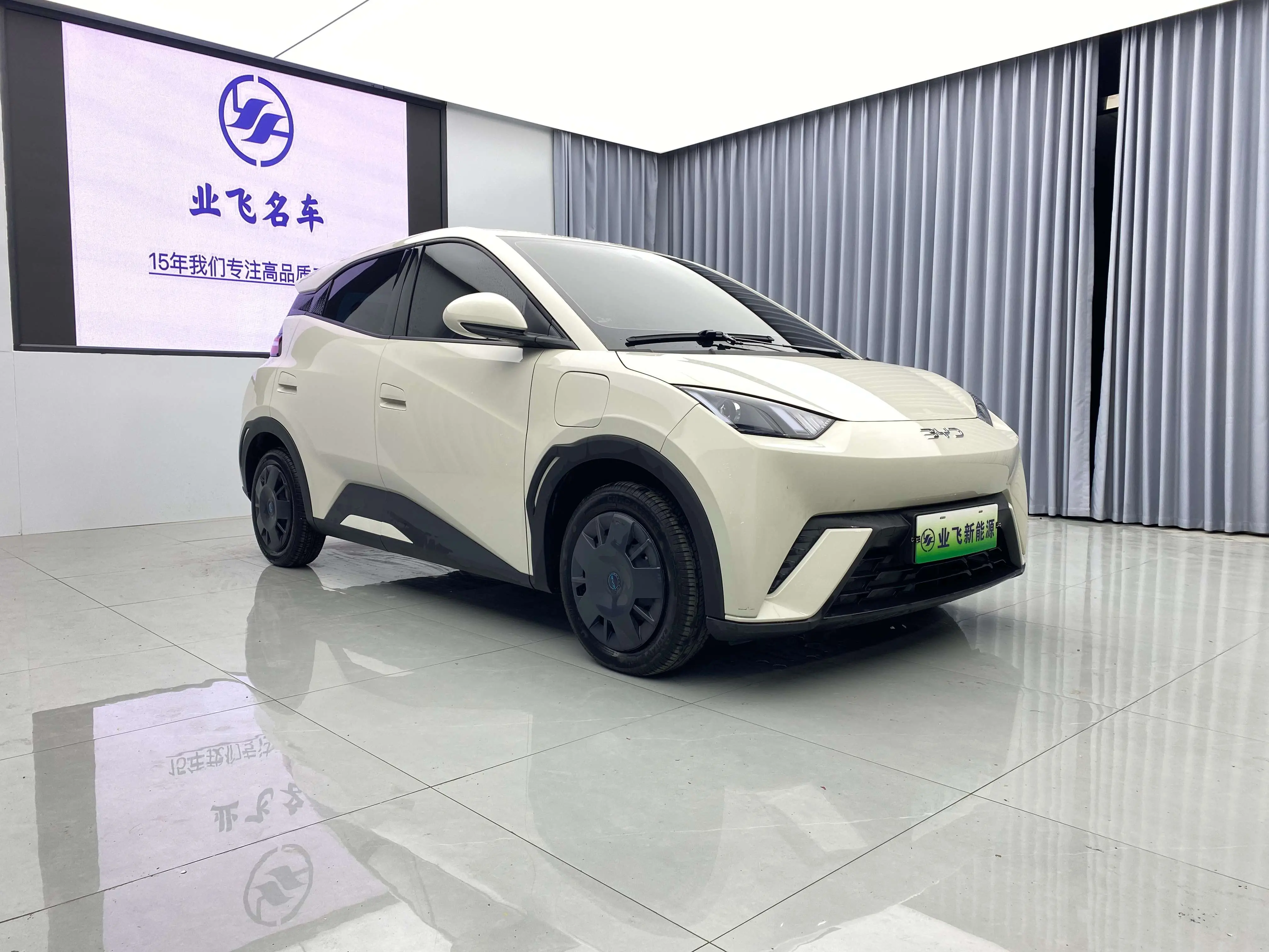 BYD Seagull
