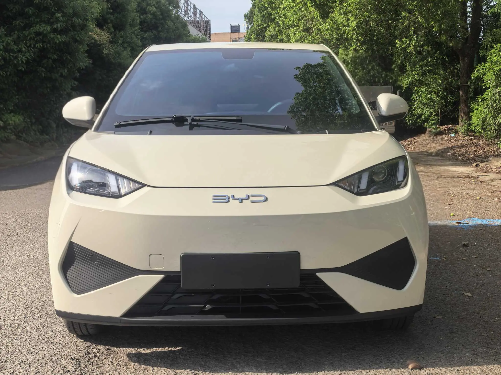 BYD Seagull