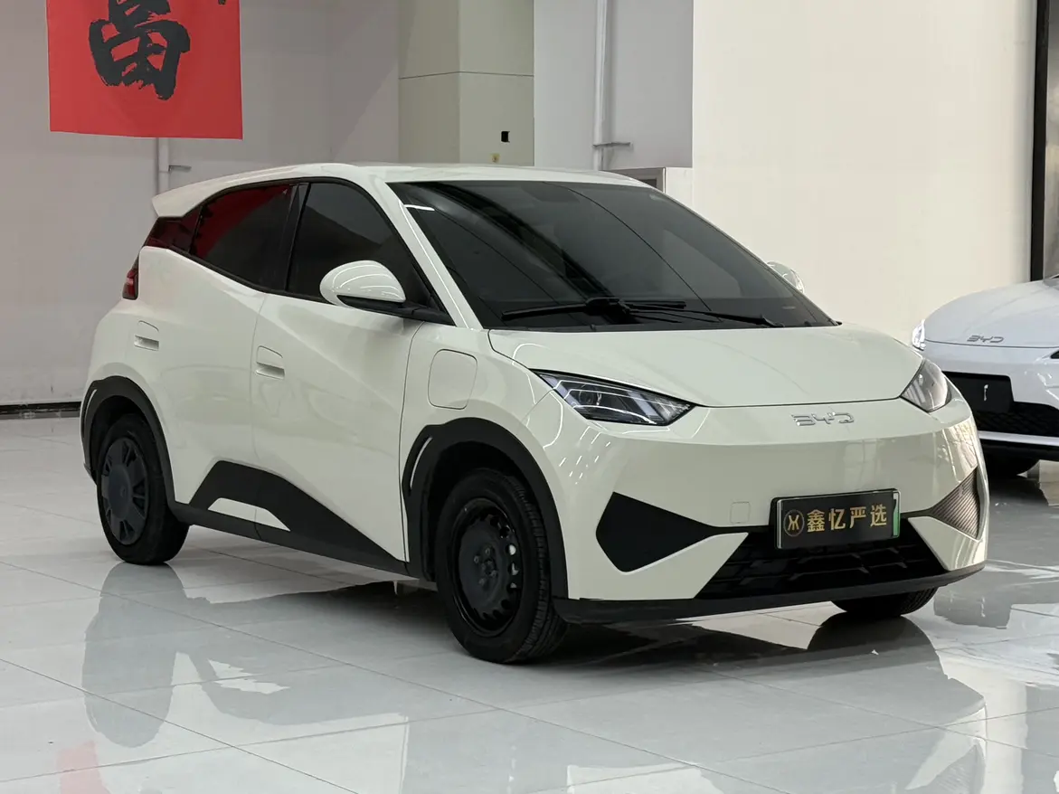 BYD Seagull