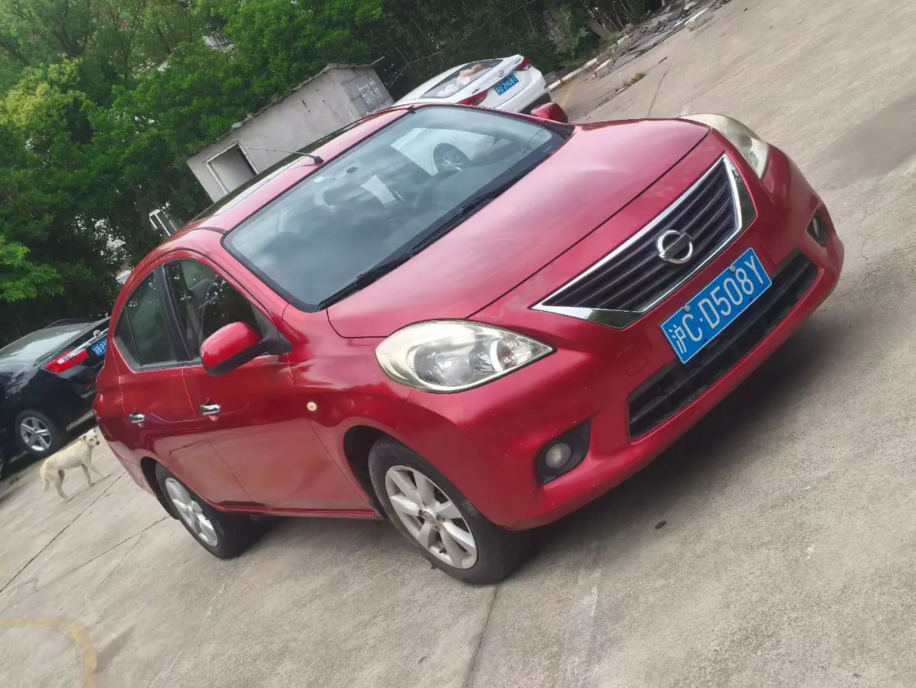 Nissan Sunlight