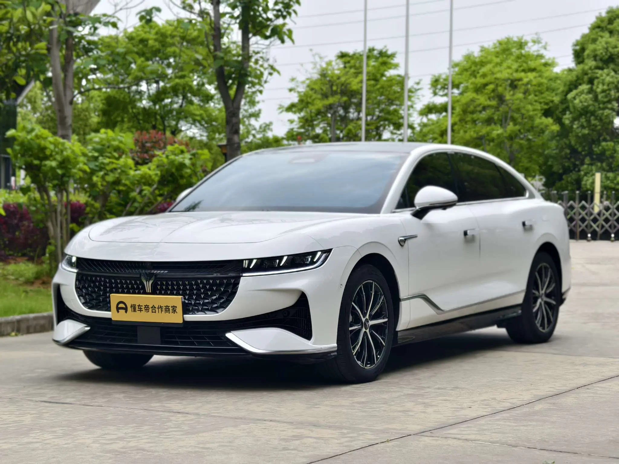 Voyah Passion PHEV