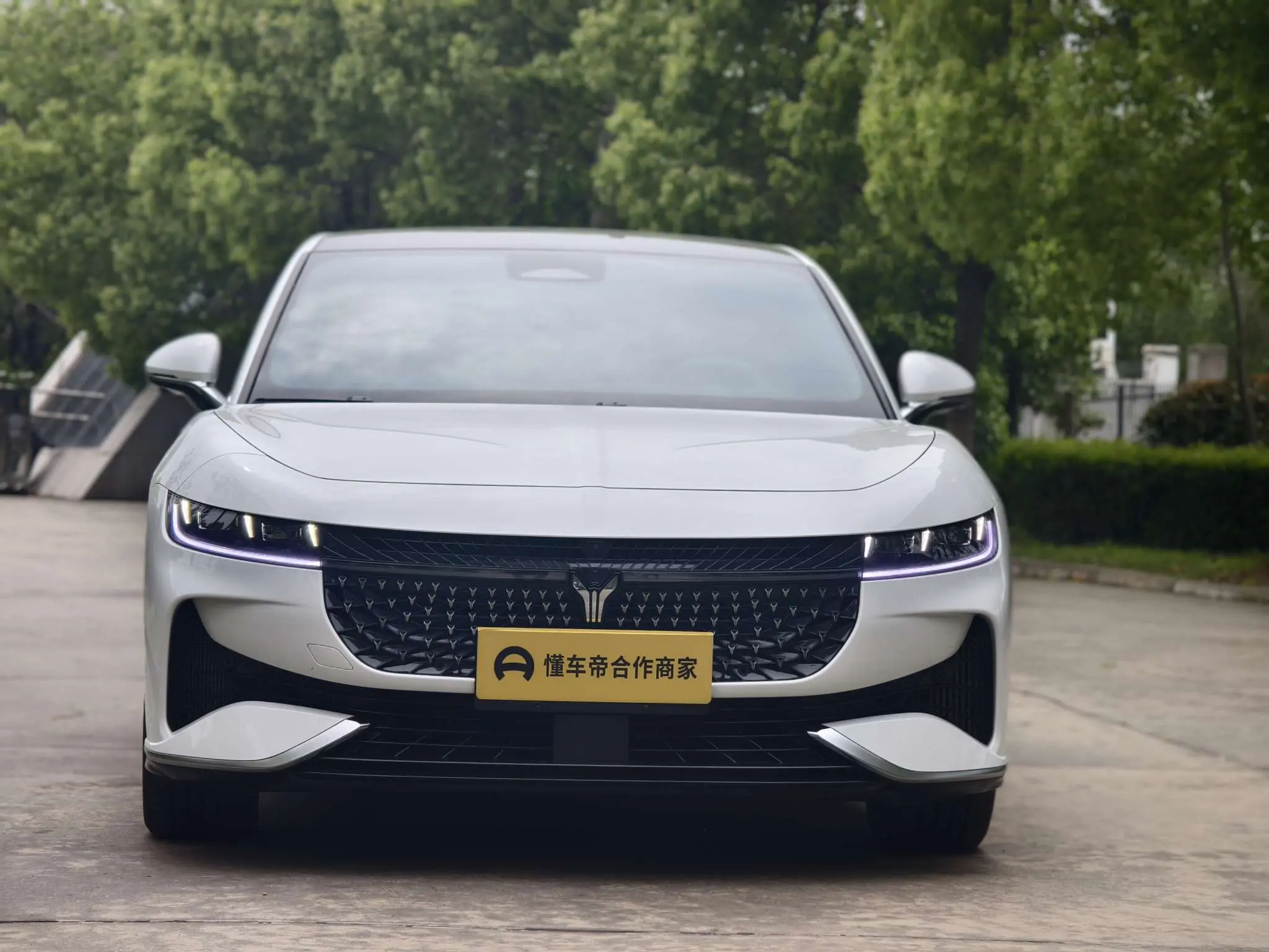 Voyah Passion PHEV