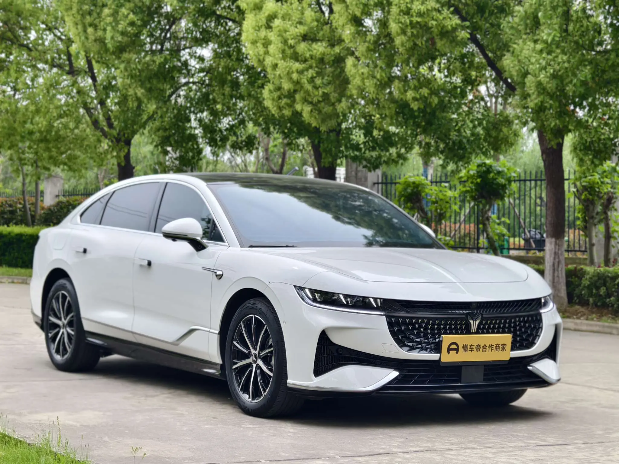 Voyah Passion PHEV