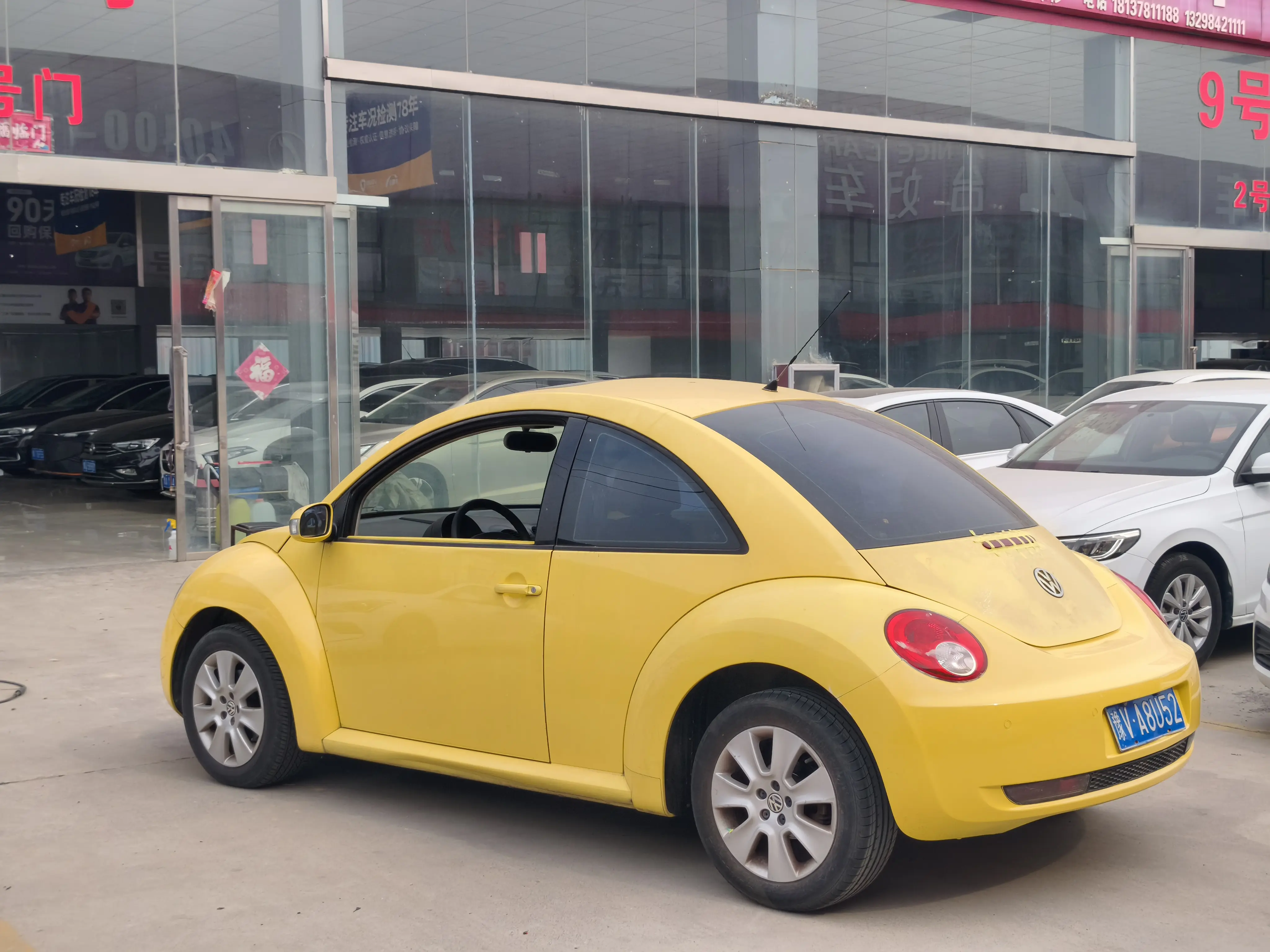 Volkswagen Beetle
