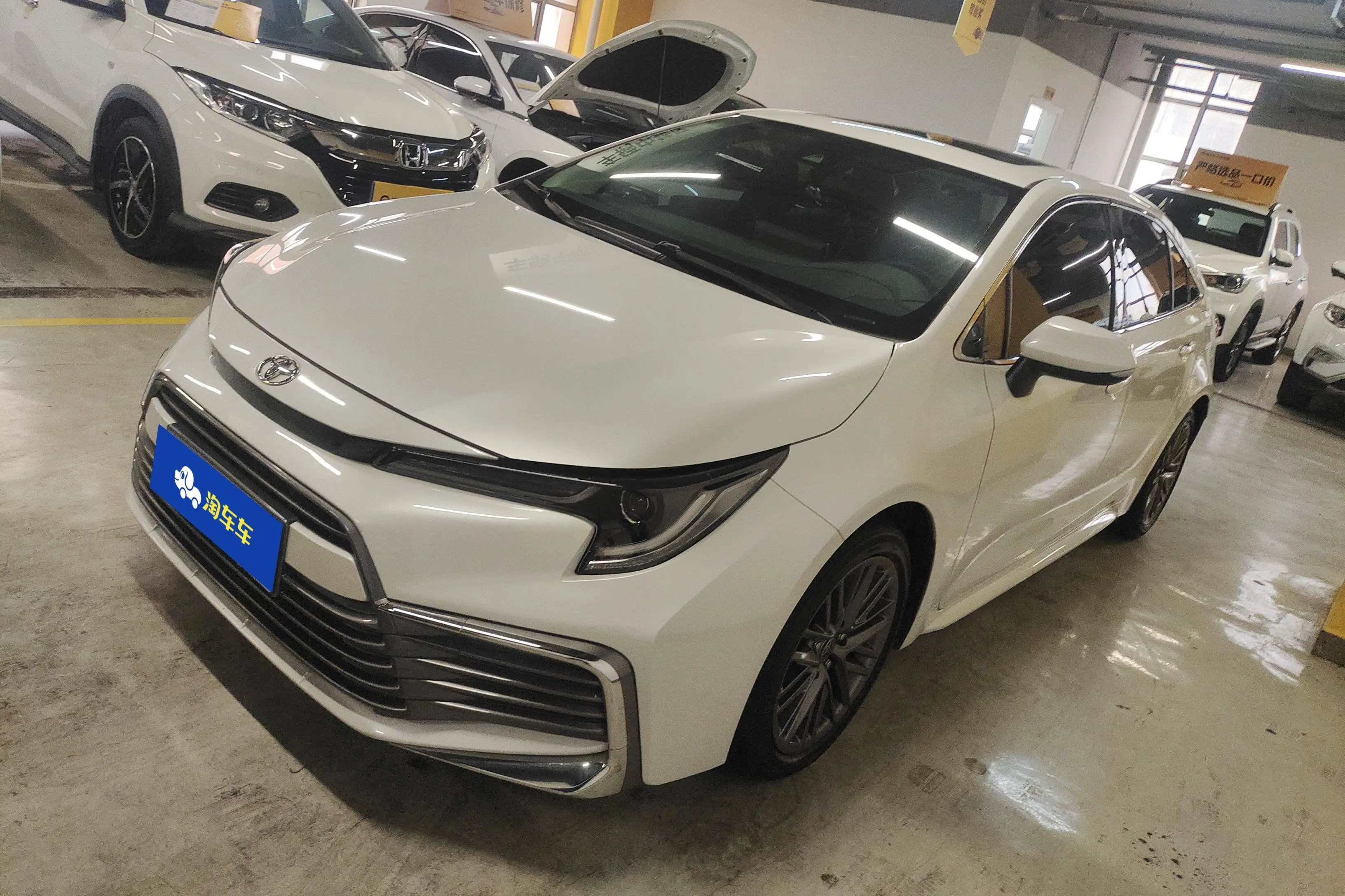 Toyota Levin