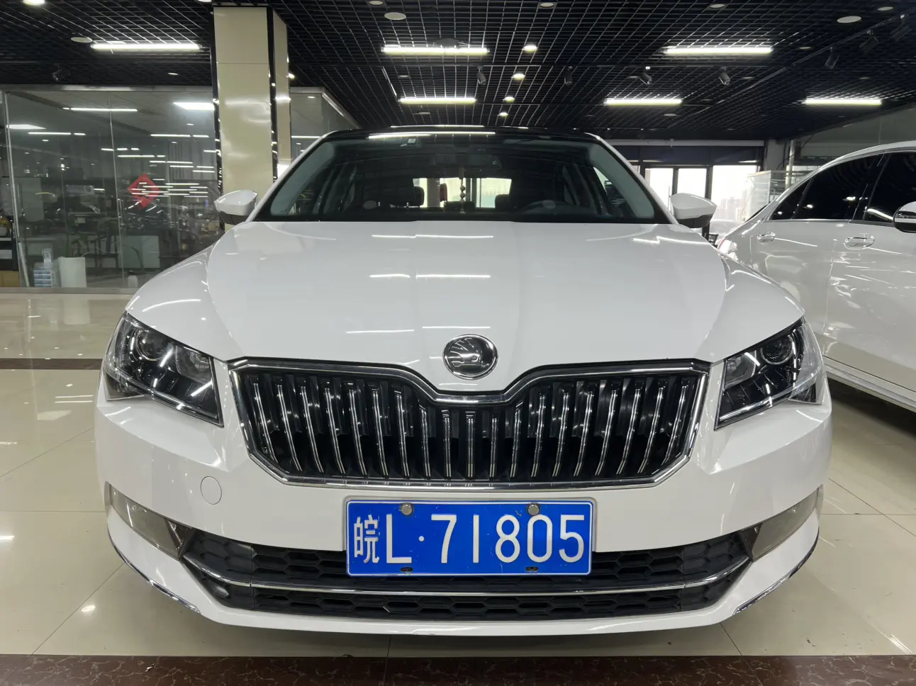 Skoda Speedy