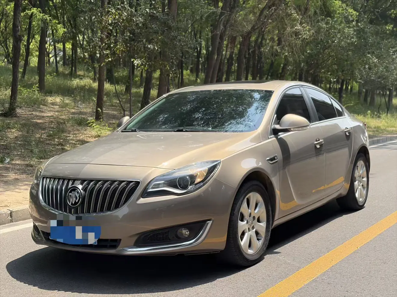 Buick Majesty