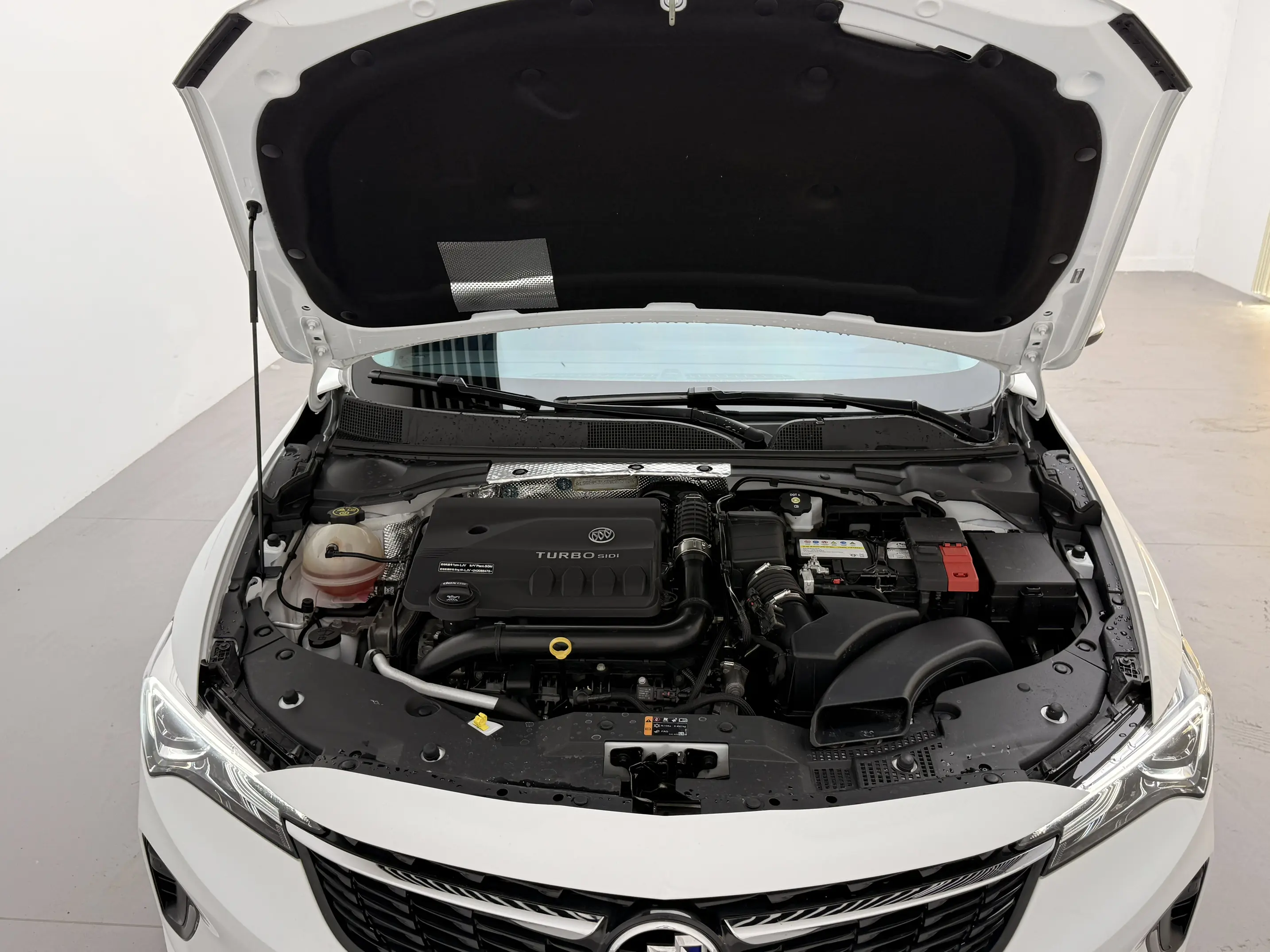 Buick Valeant