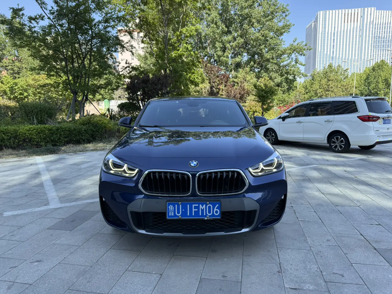 BMW X2