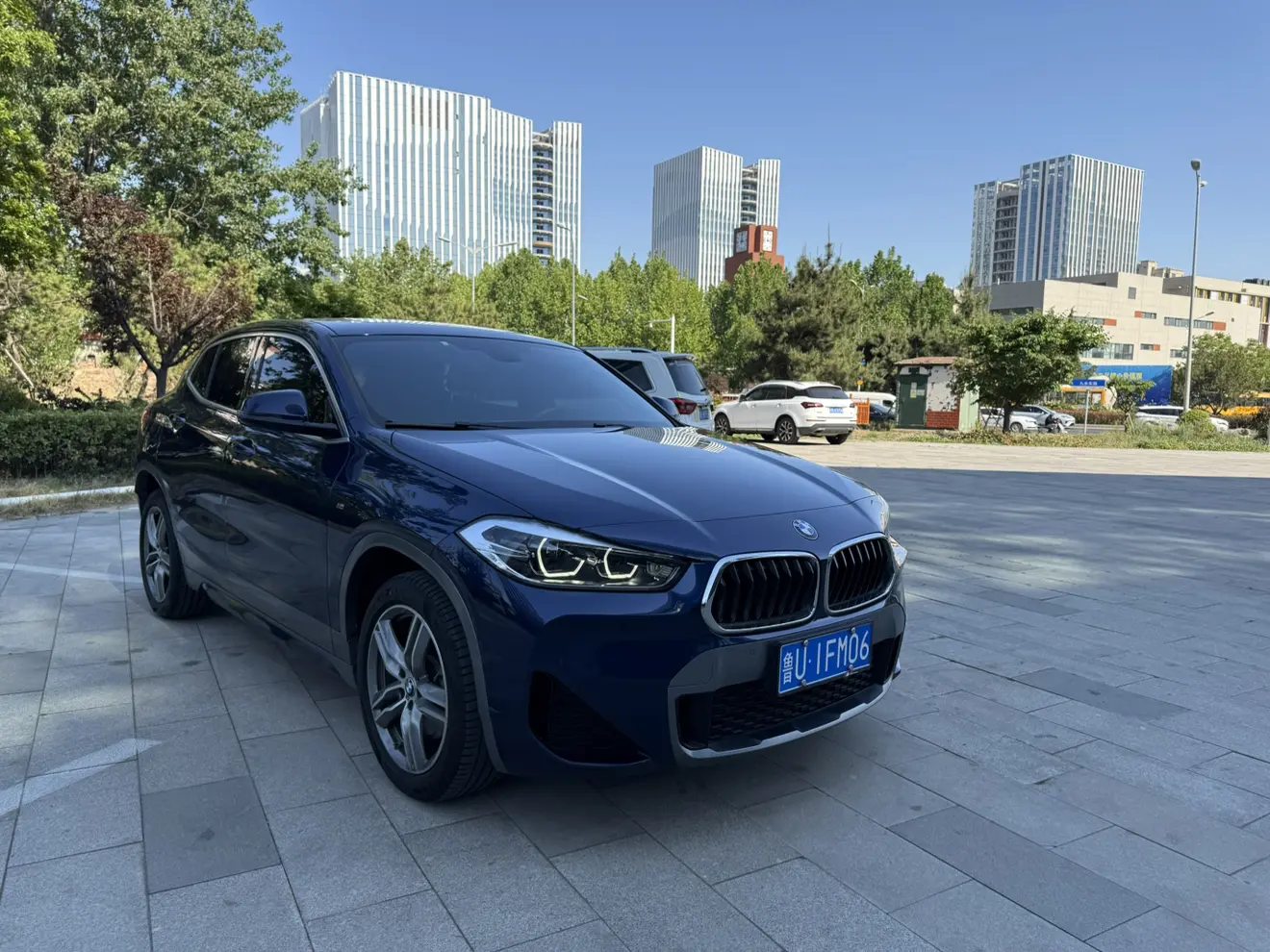 BMW X2