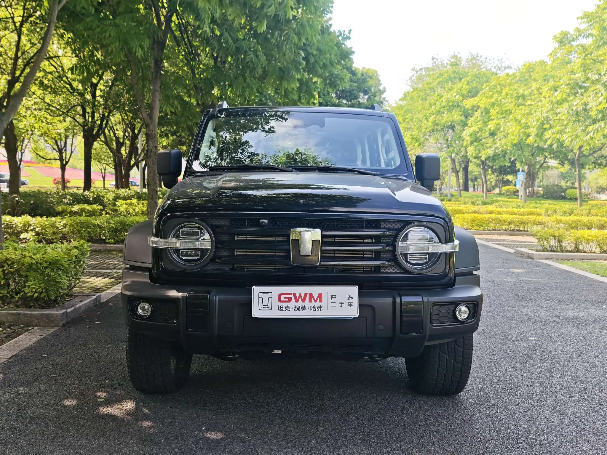 Tank 300