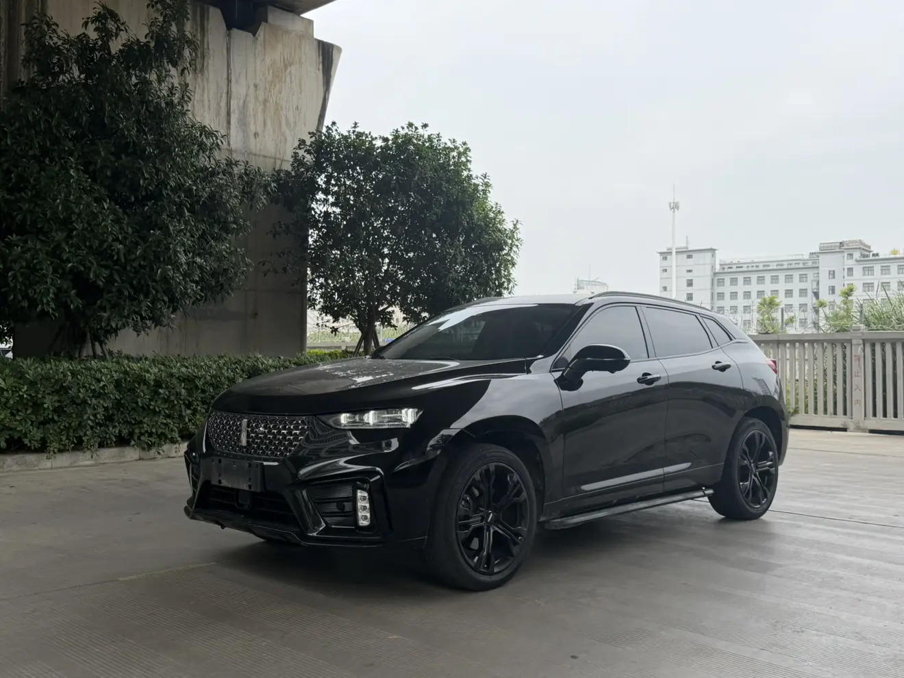 Wey Wei brand VV7