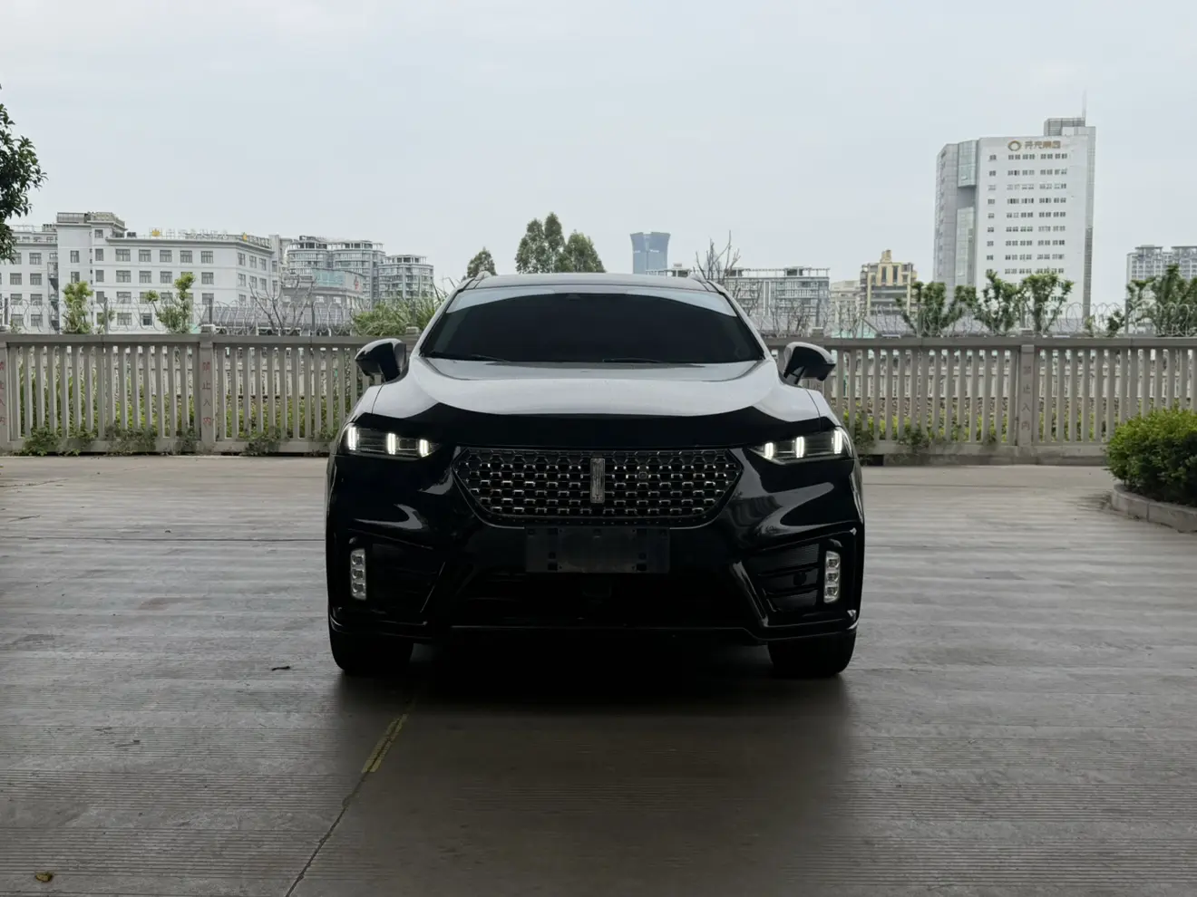 Wey Wei brand VV7