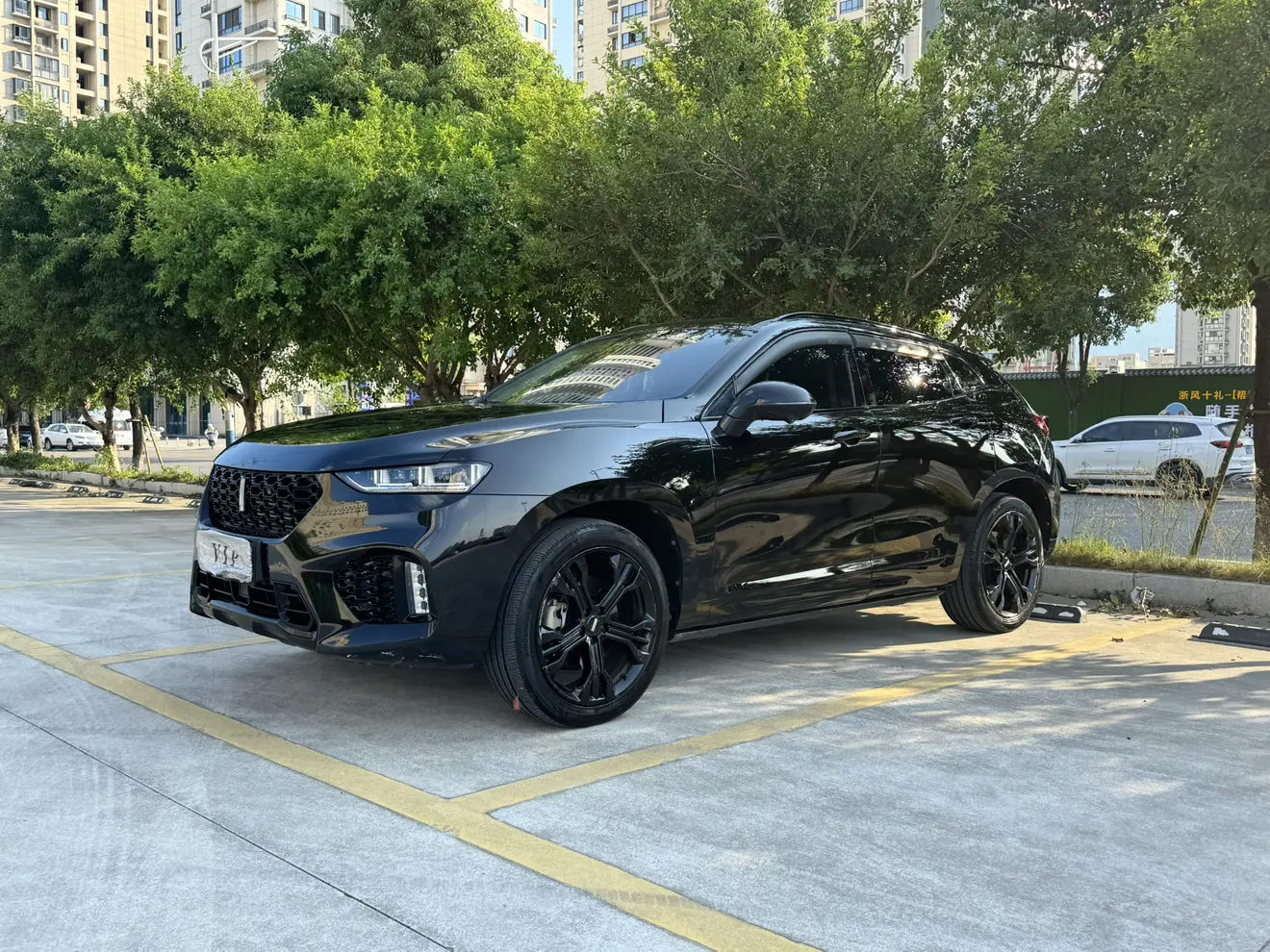 Wey Wei brand VV7