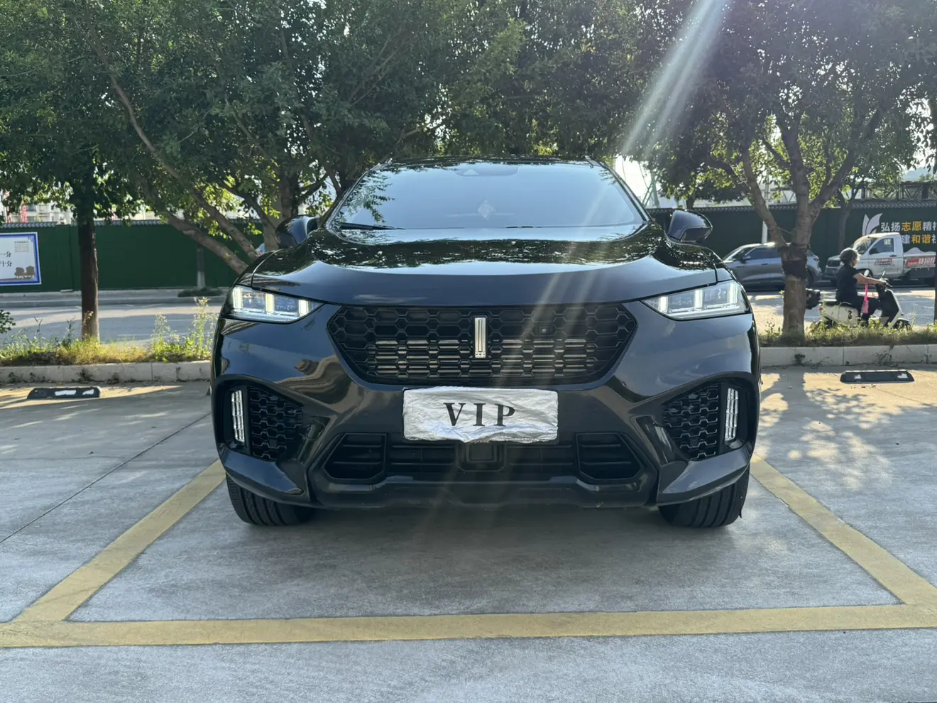 Wey Wei brand VV7