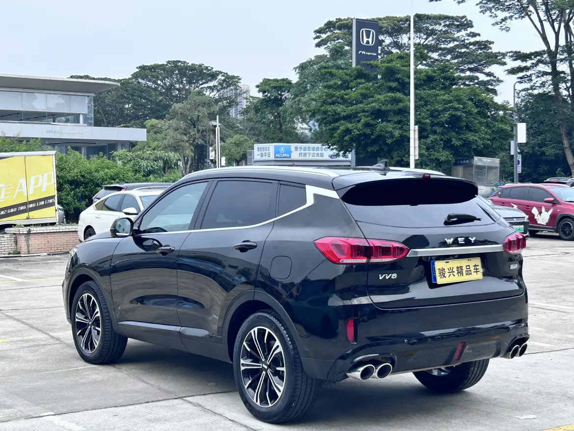 Wey Wei brand VV6
