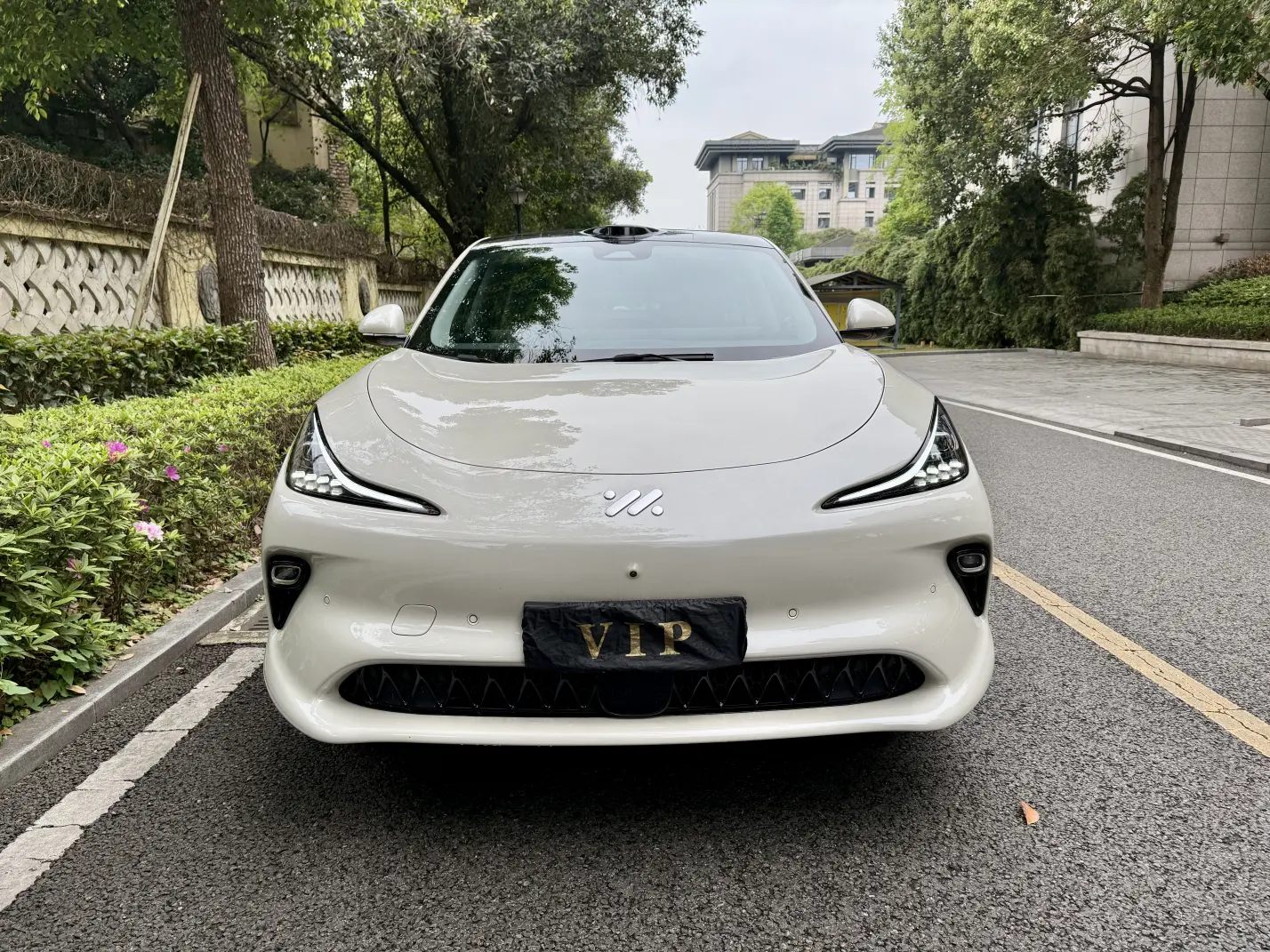 IM Motors LS6