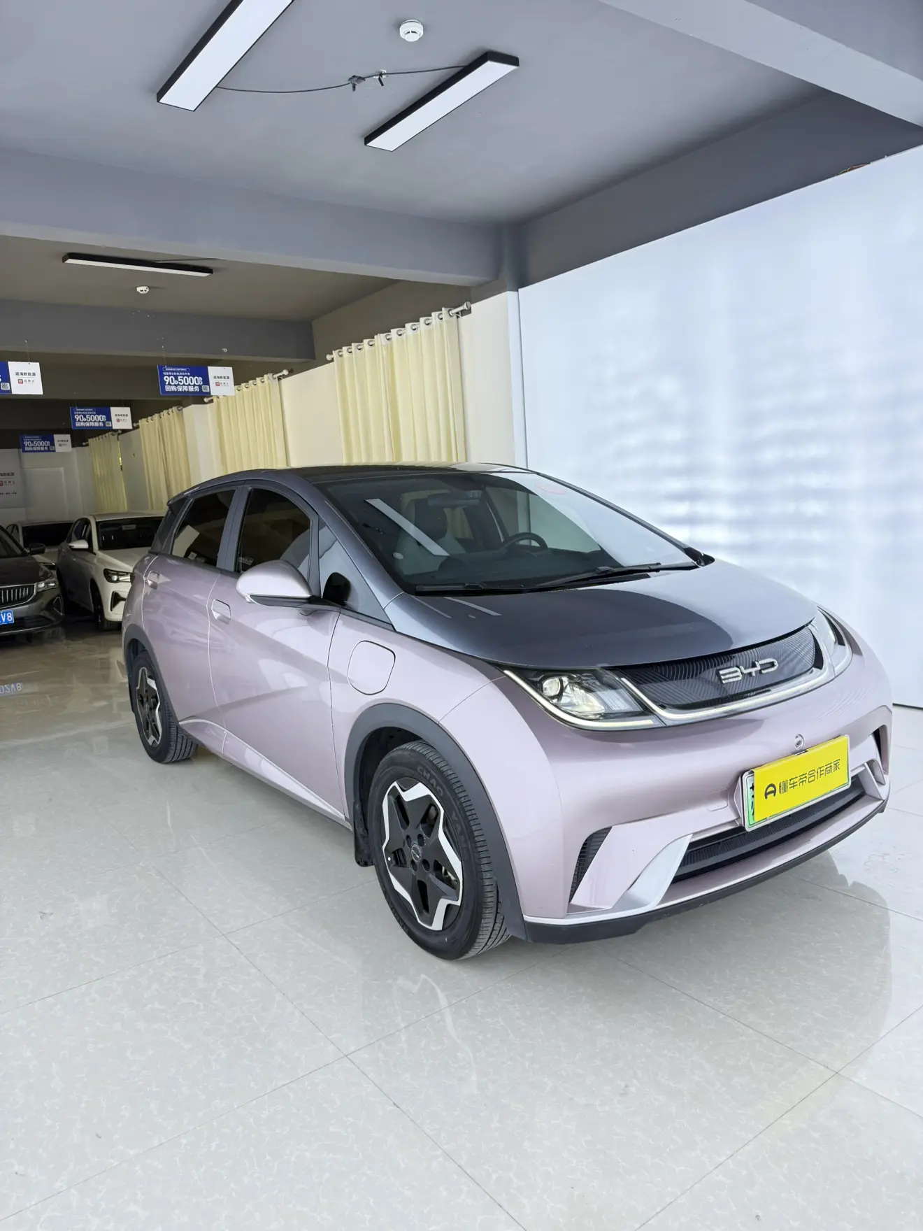 BYD dolphin
