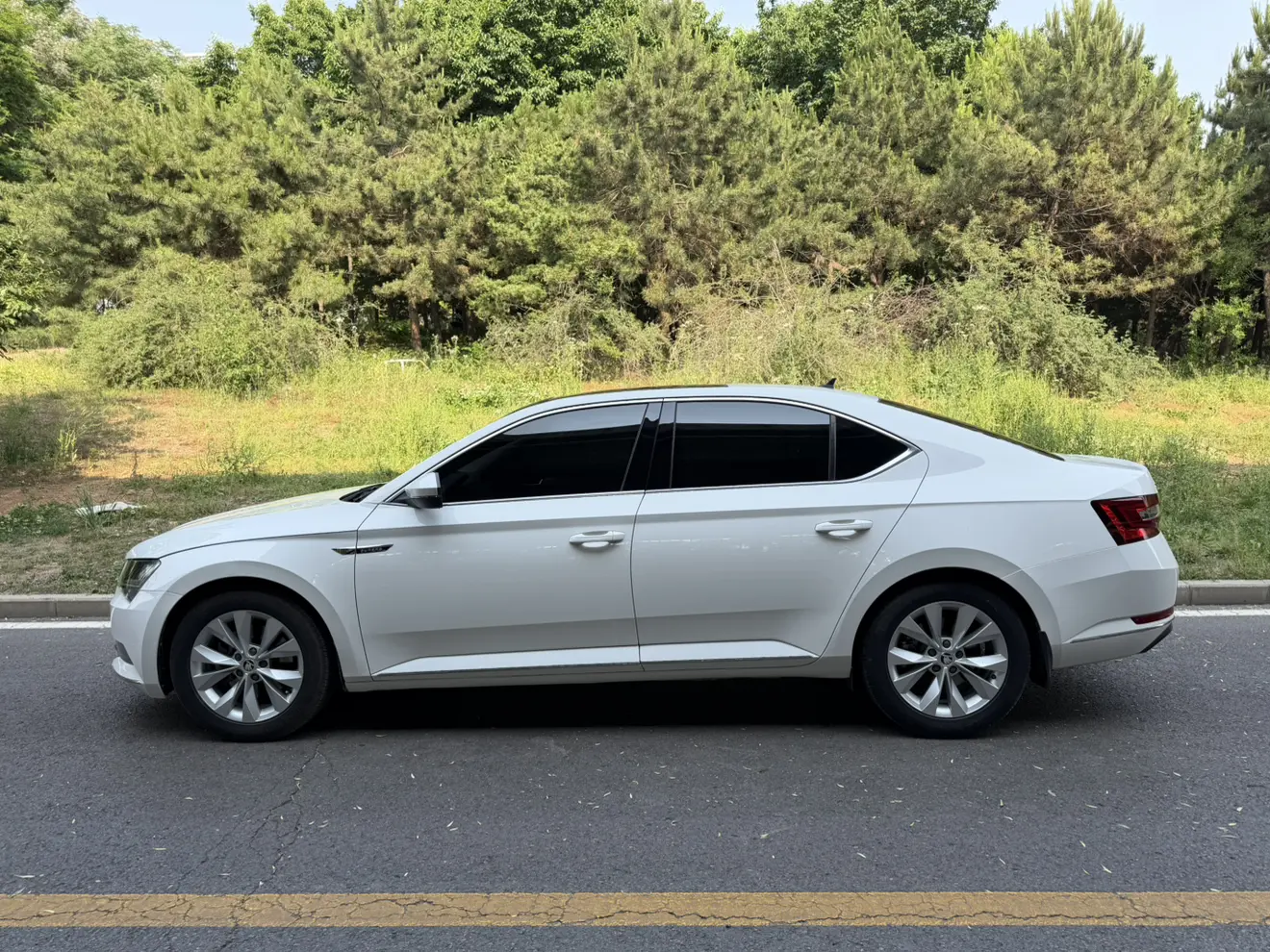 Skoda Speedy