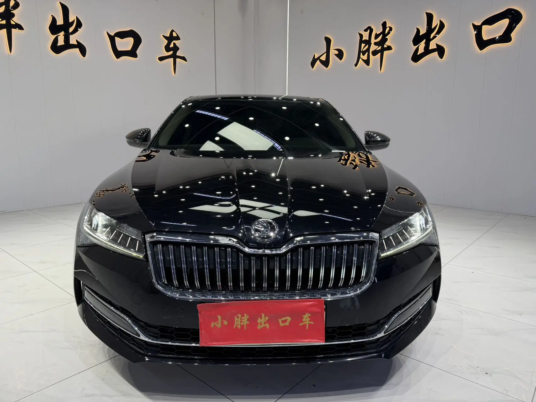 Skoda Speedy