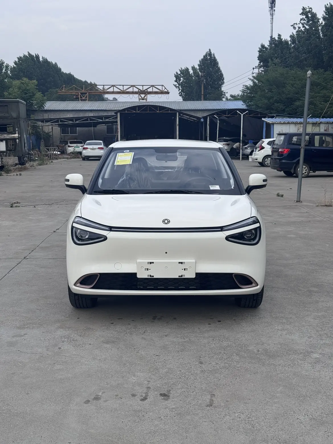 Dongfeng Nano 01