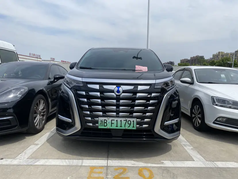 Denza D9 DM