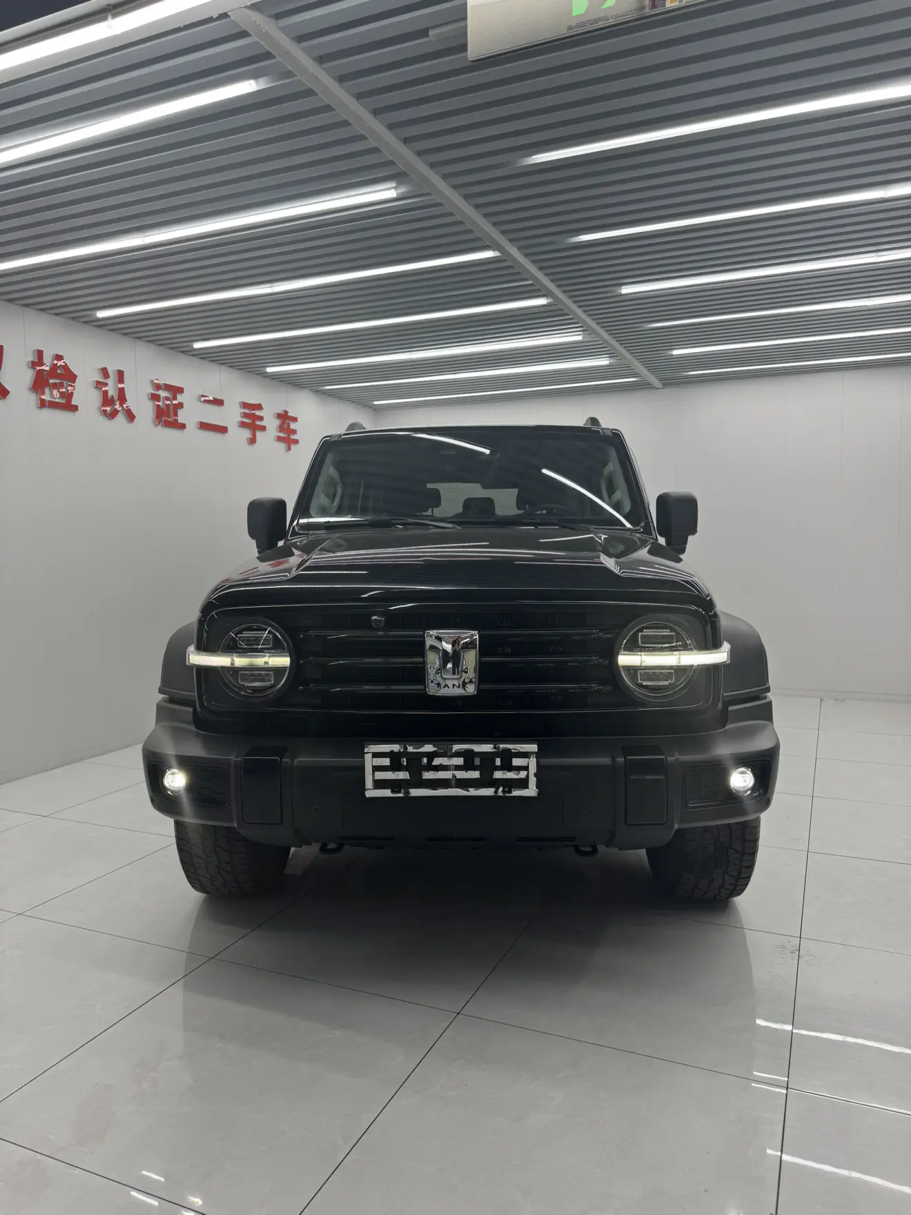 Tank 300
