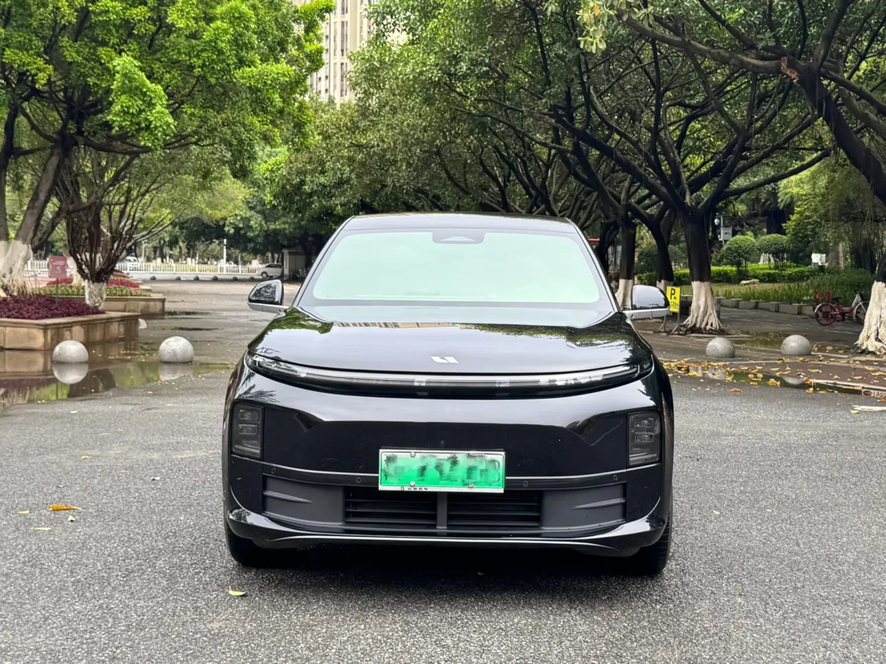 Lixiang L6