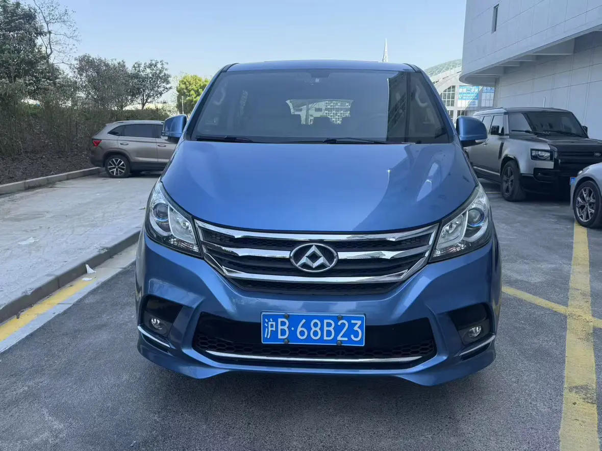 Datong Maxus G10