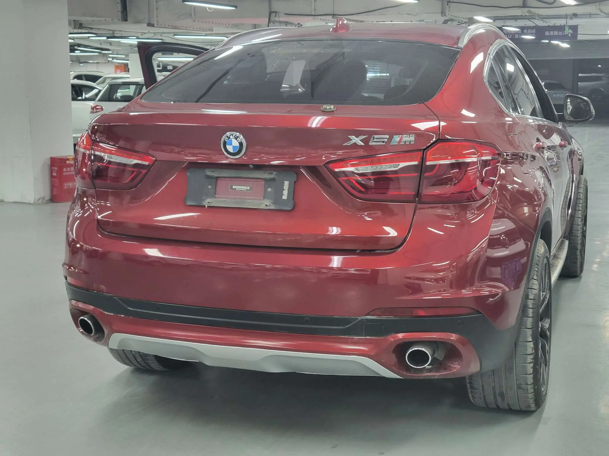 BMW X6