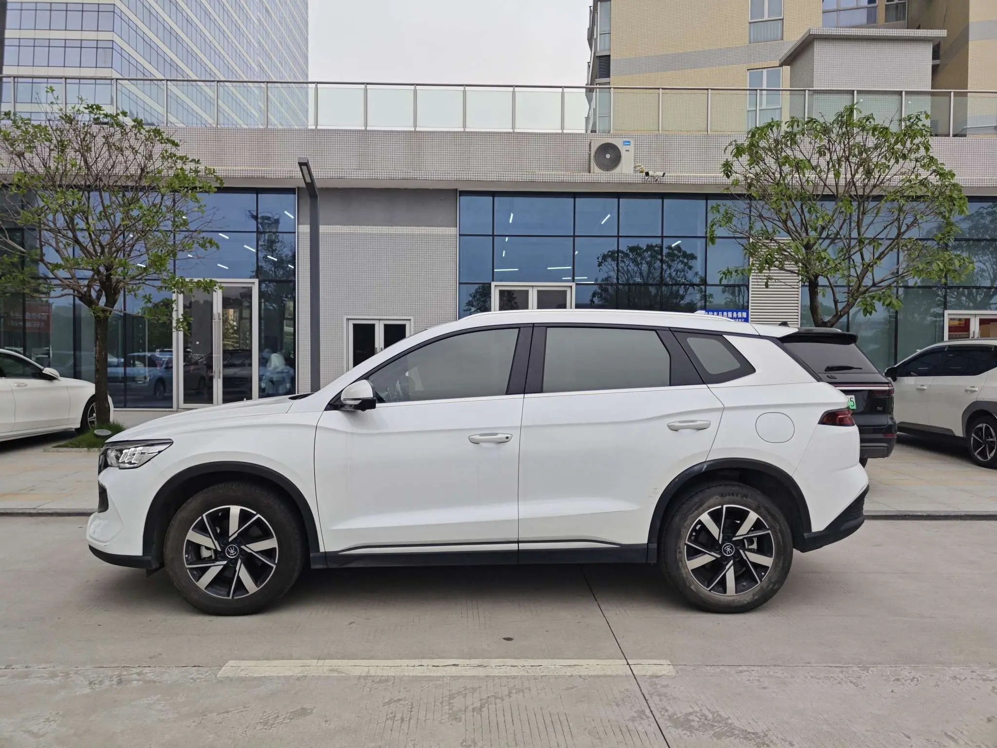 BYD Song Pro DM