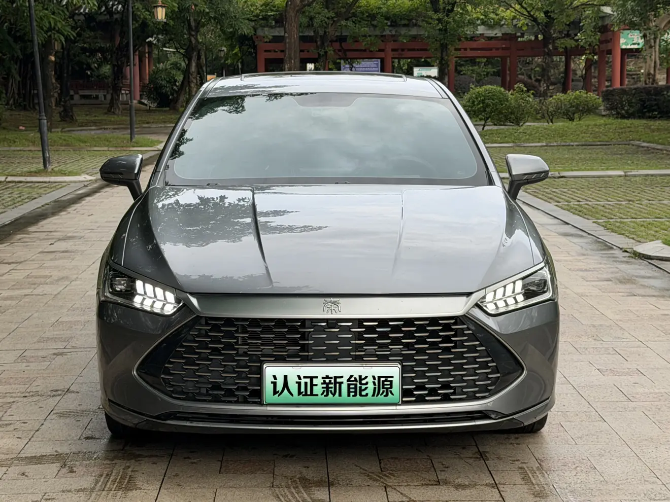 BYD Qin PLUS DM