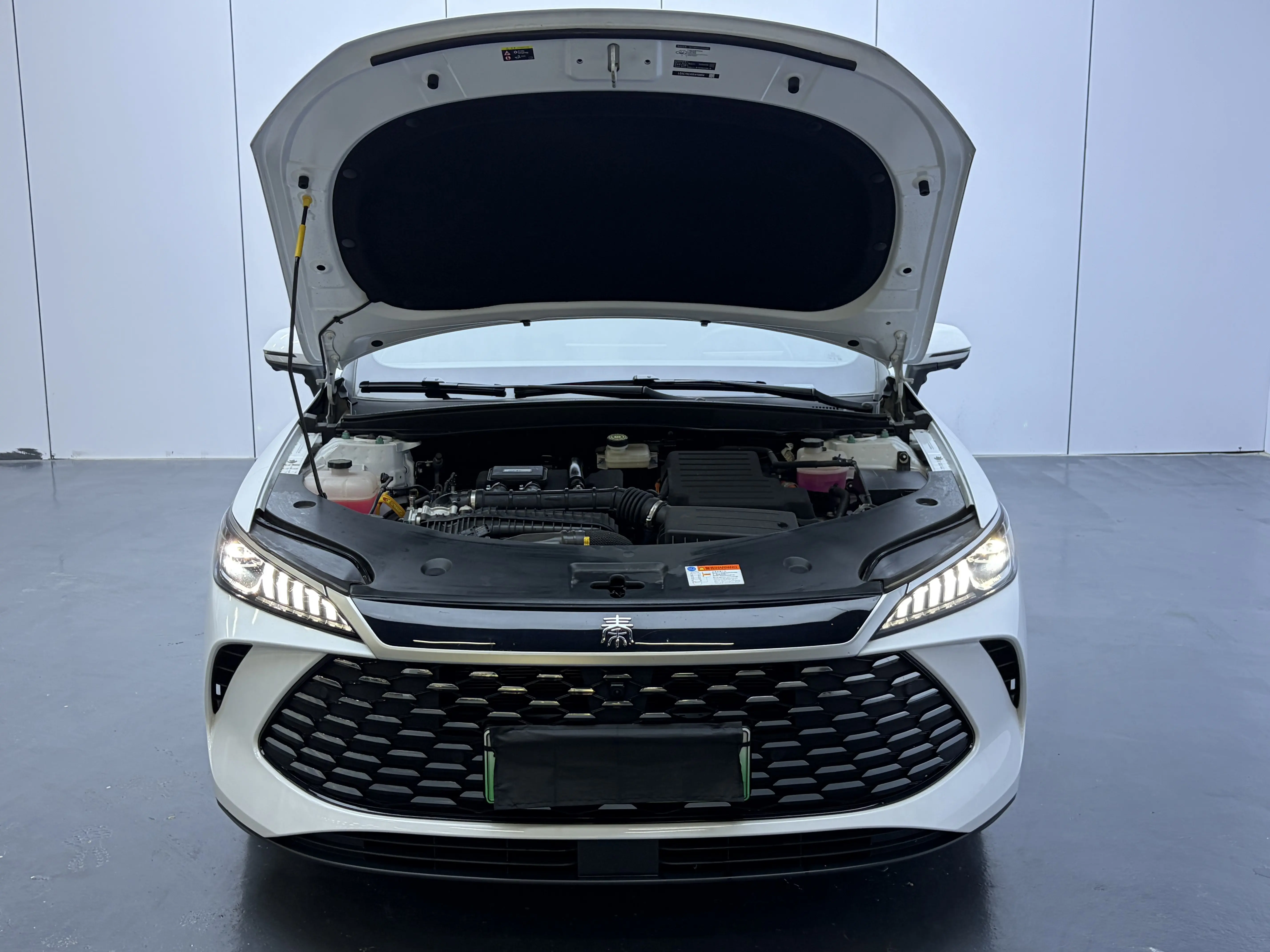 BYD Qin PLUS DM