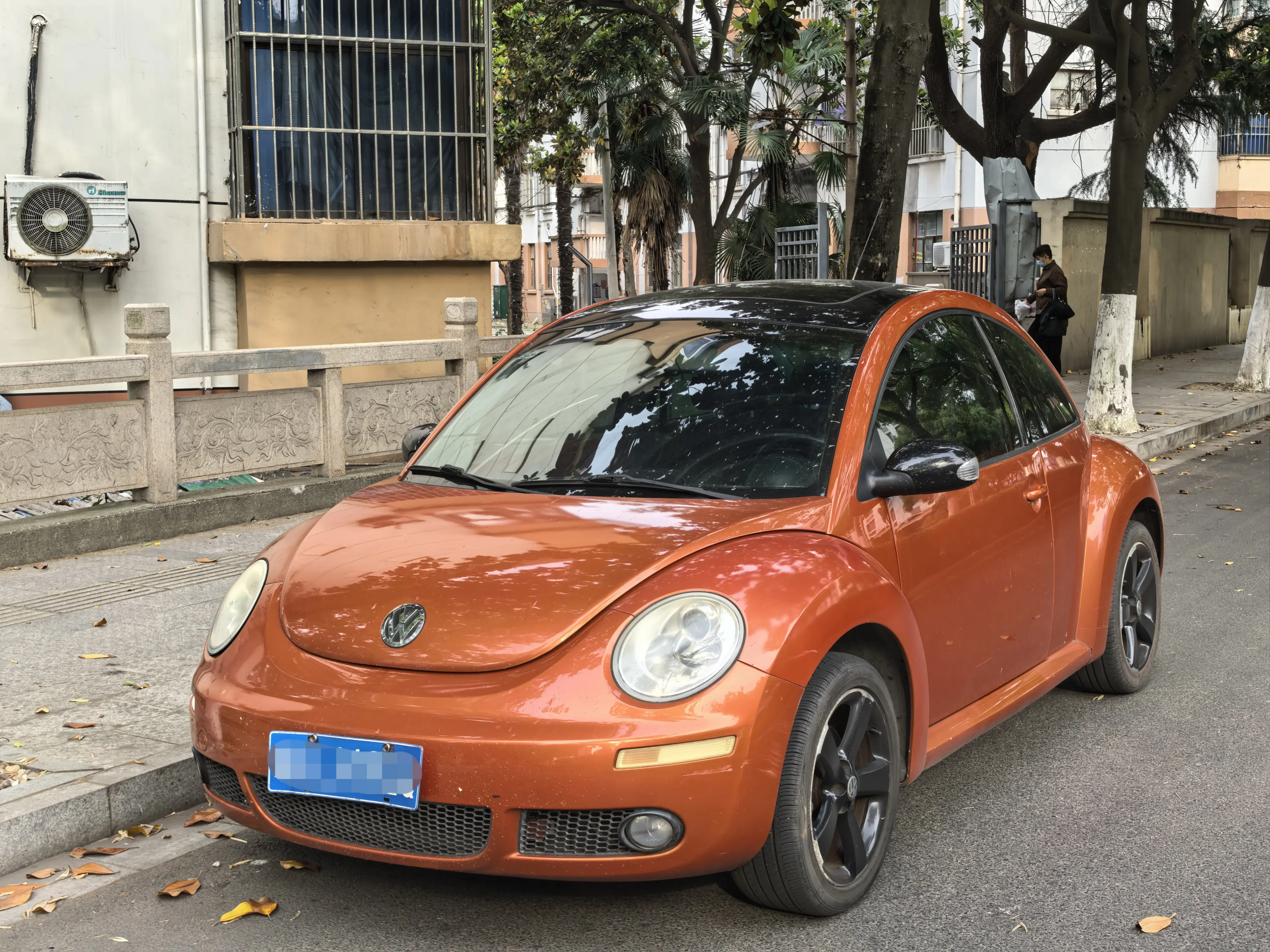 Volkswagen Beetle