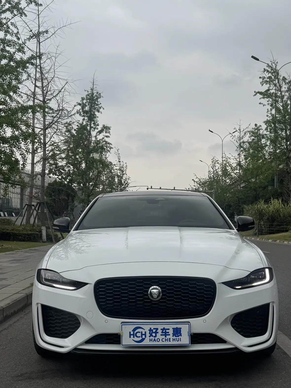 Jaguar XEL