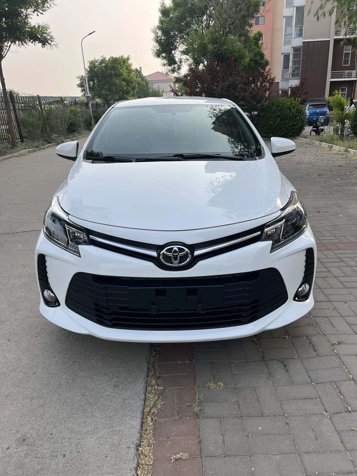 Toyota Vios