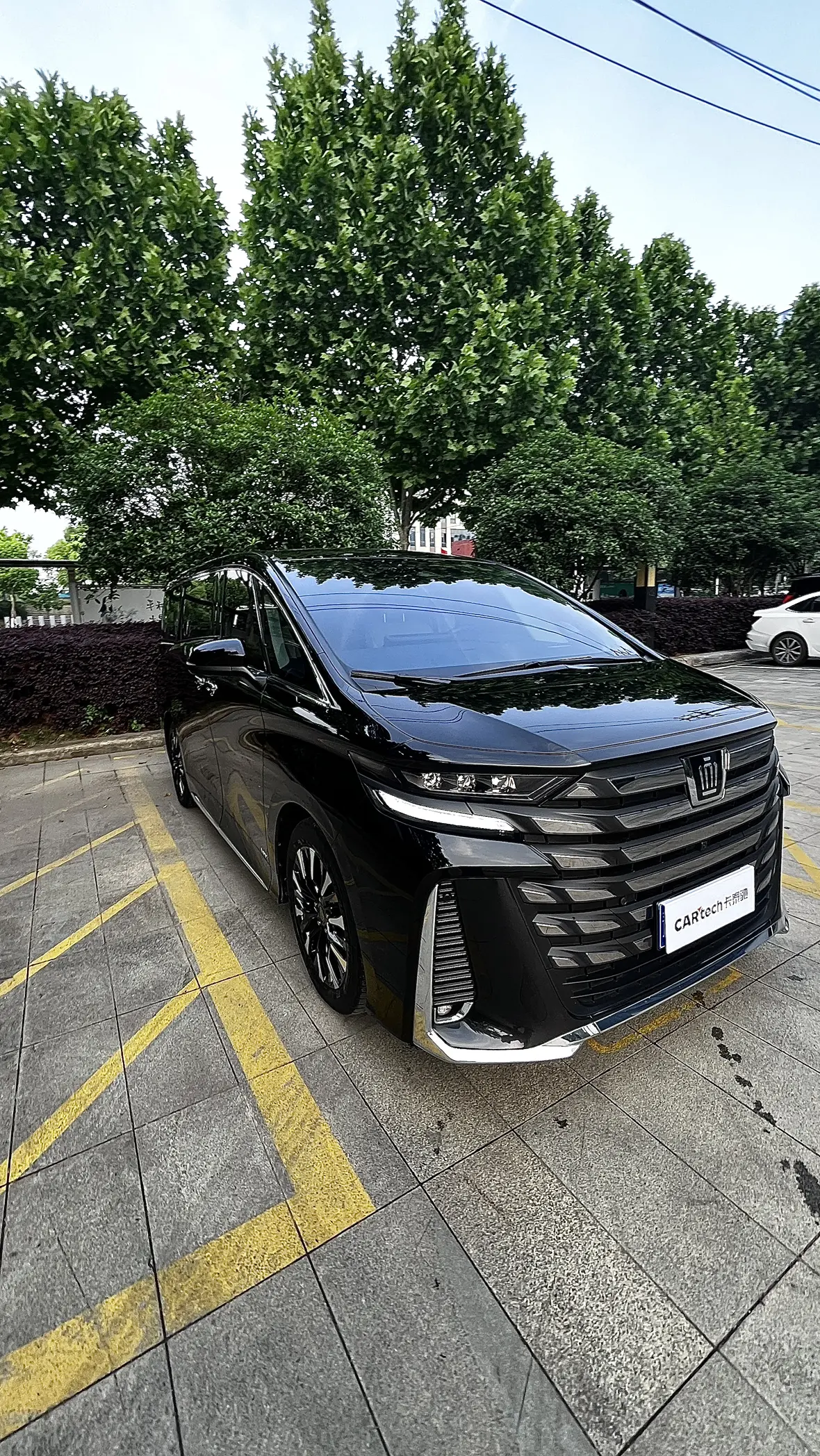 Toyota Crown Wellfire