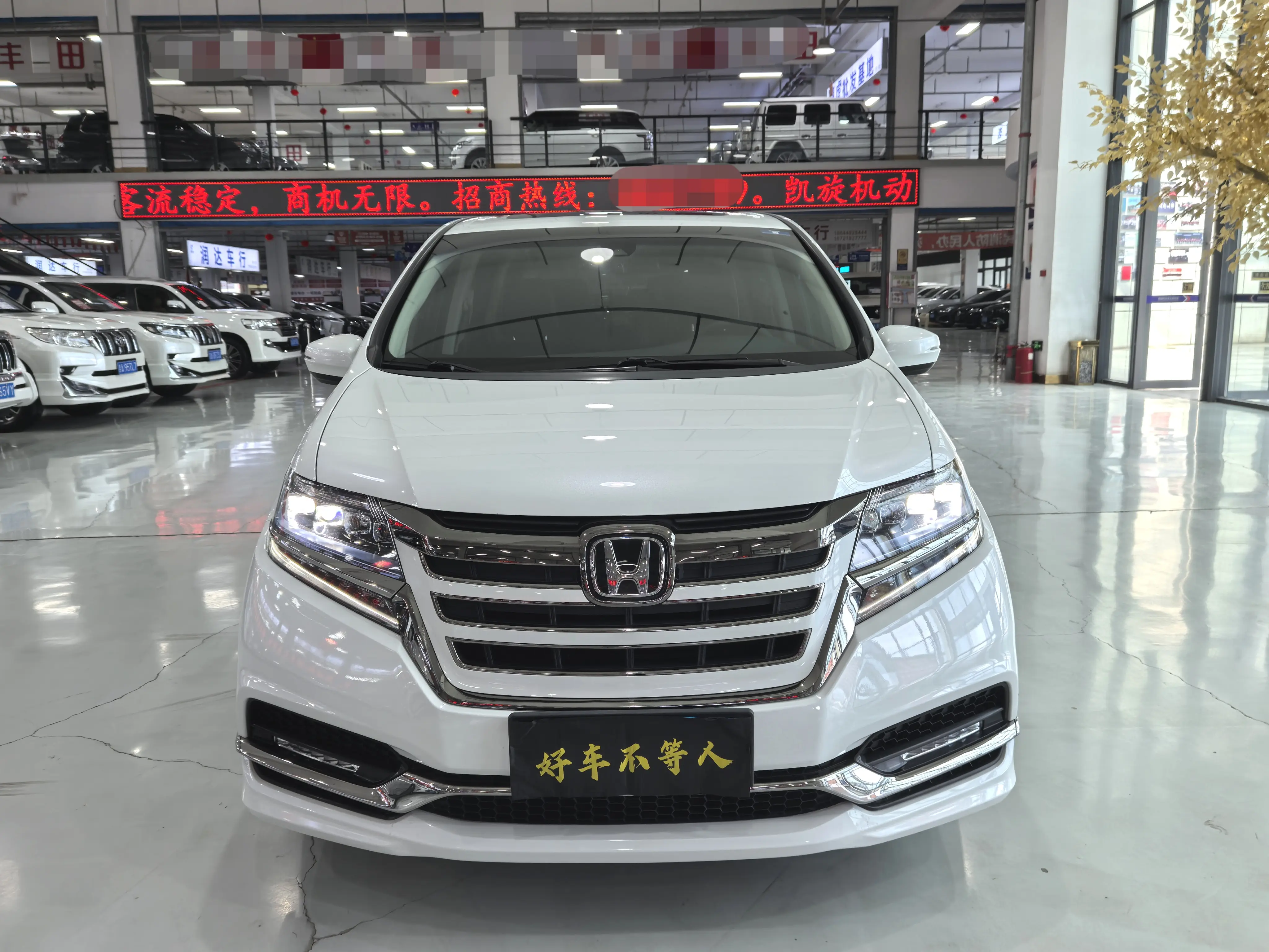 Honda Elysion