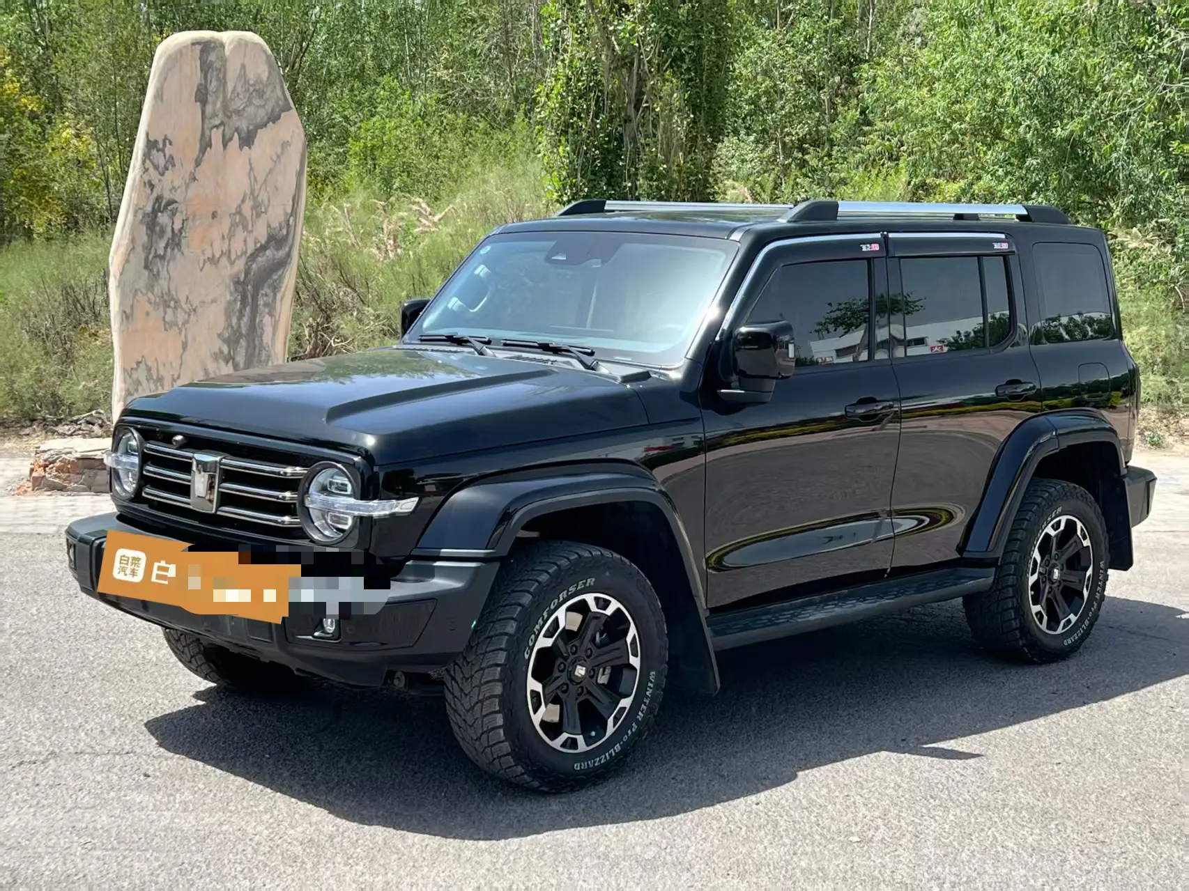 Tank 300 Hi4-T