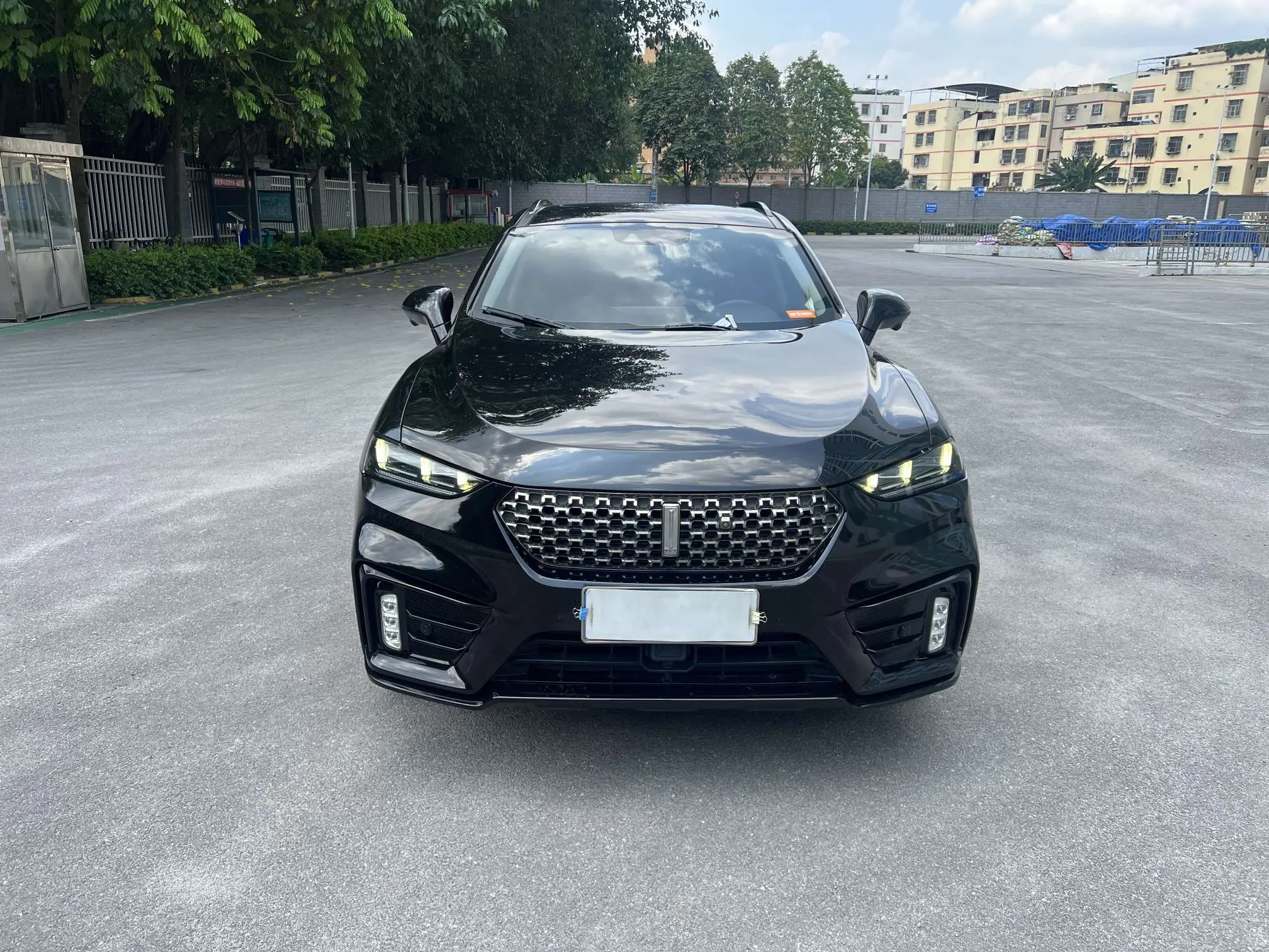 Wey Wei brand VV7