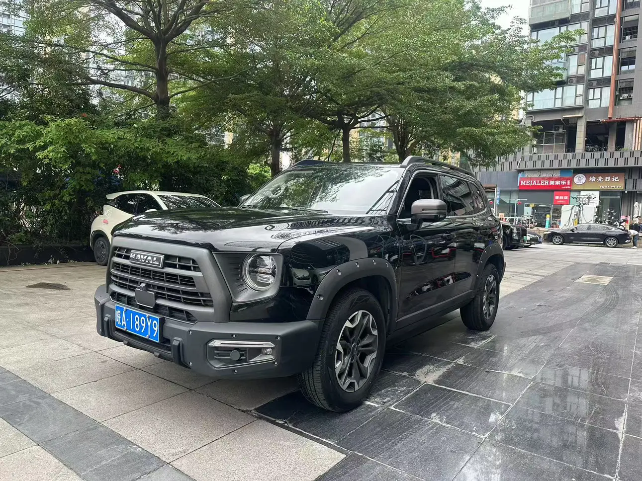 Haval Dargo