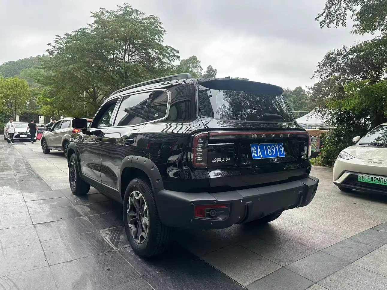 Haval Dargo