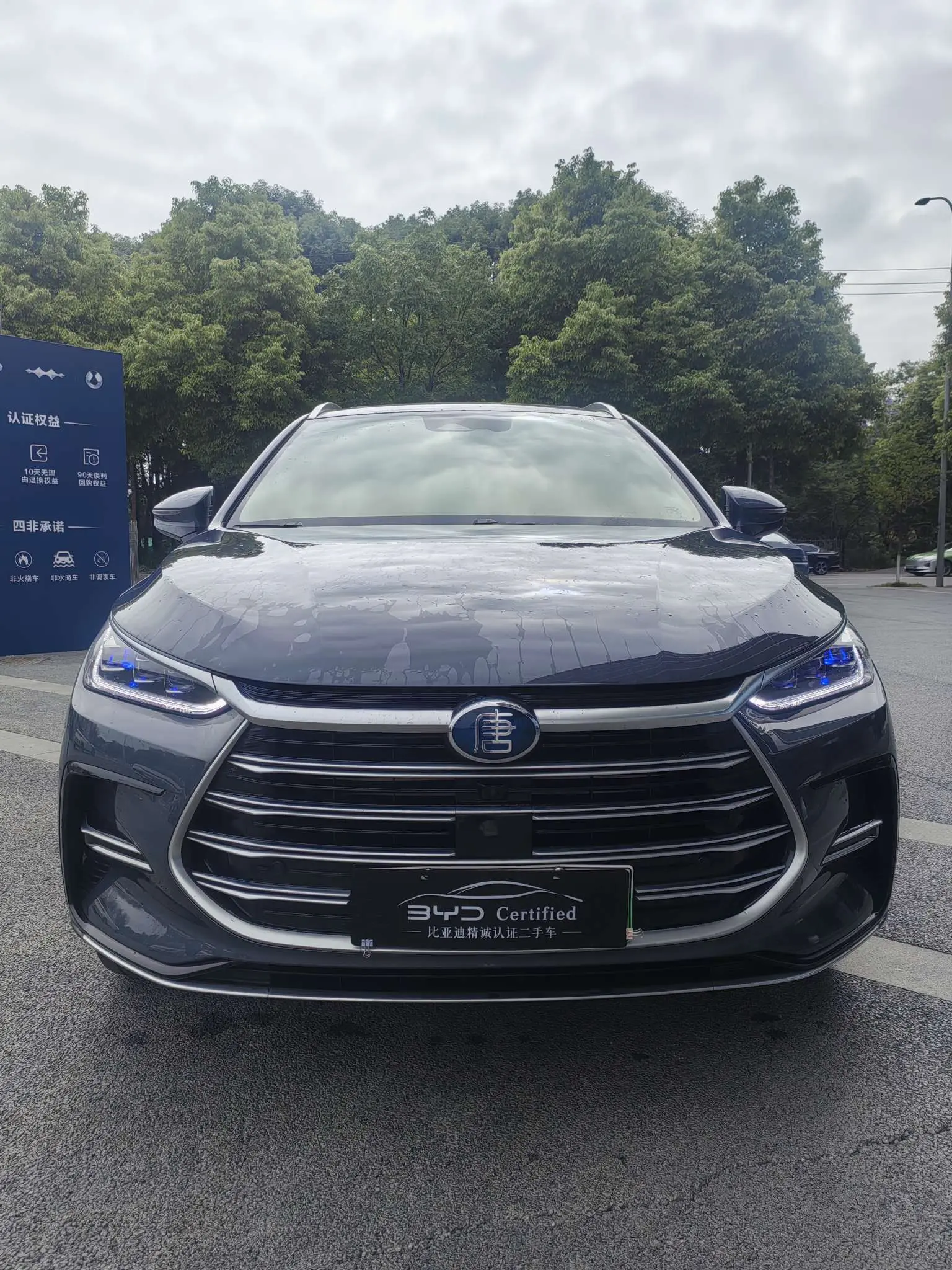 BYD Tang DM