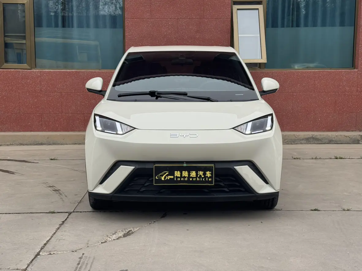 BYD Seagull