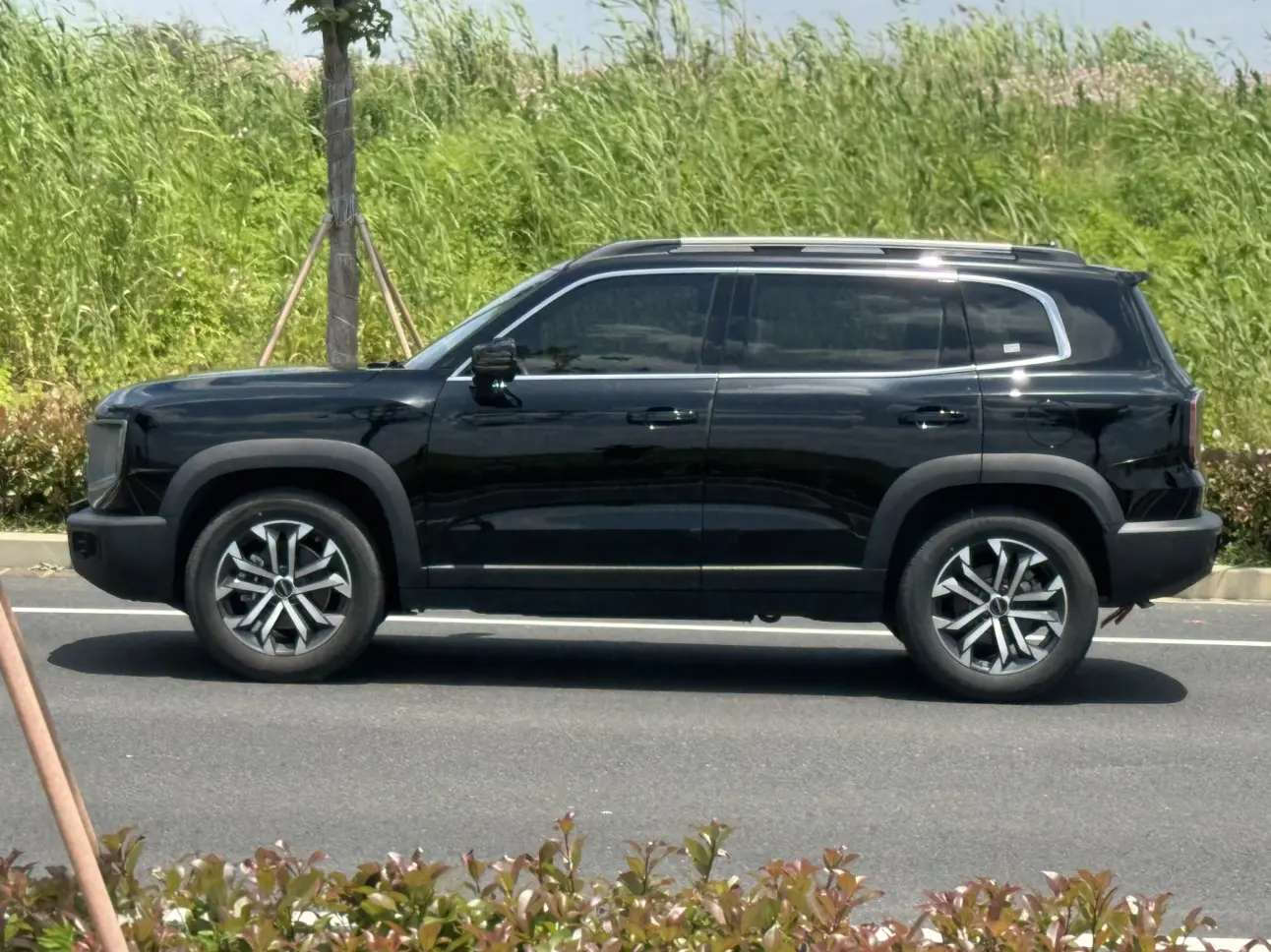 Haval Dargo