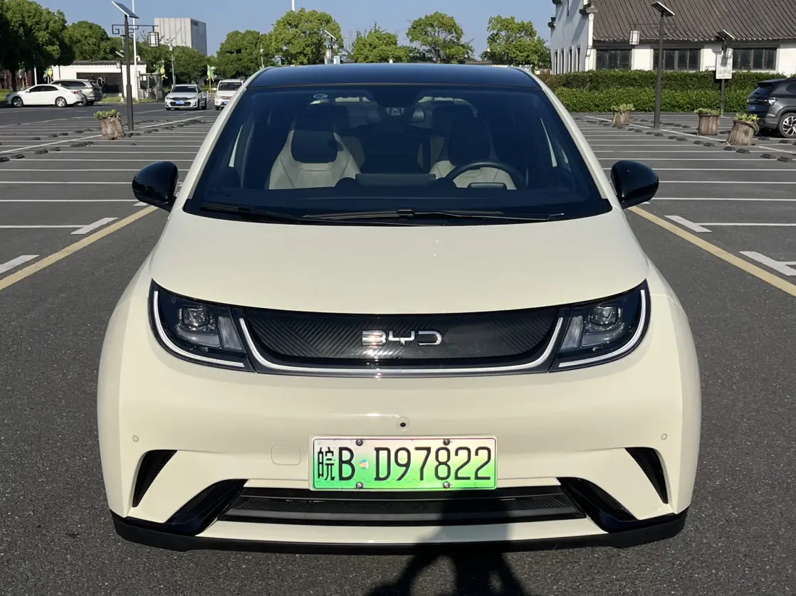 BYD Dolphin