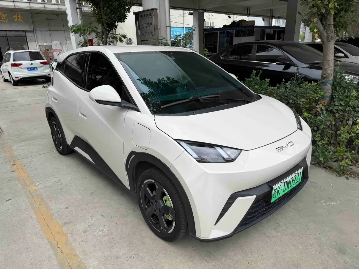 BYD Seagull