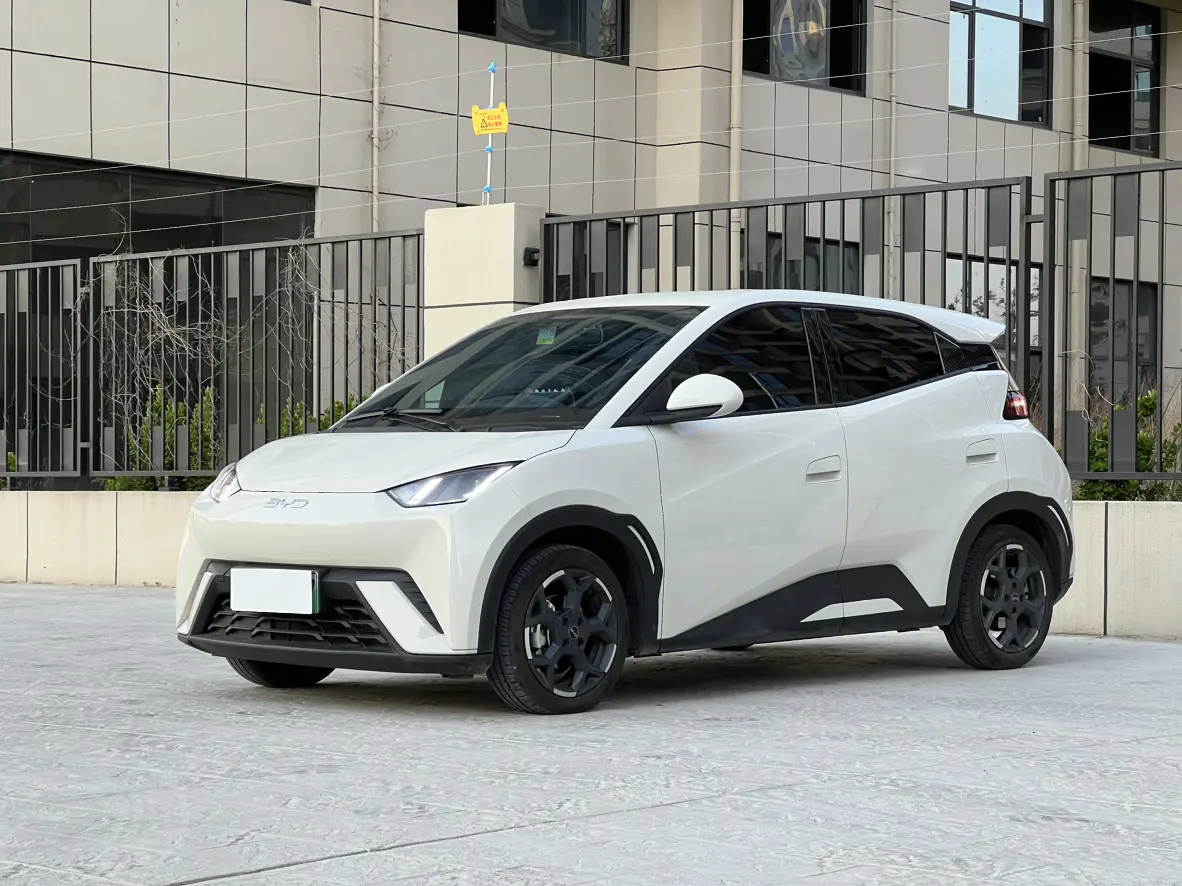 BYD seagull